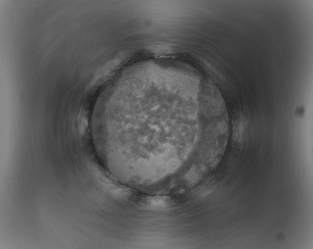 X0000112470618200909071135