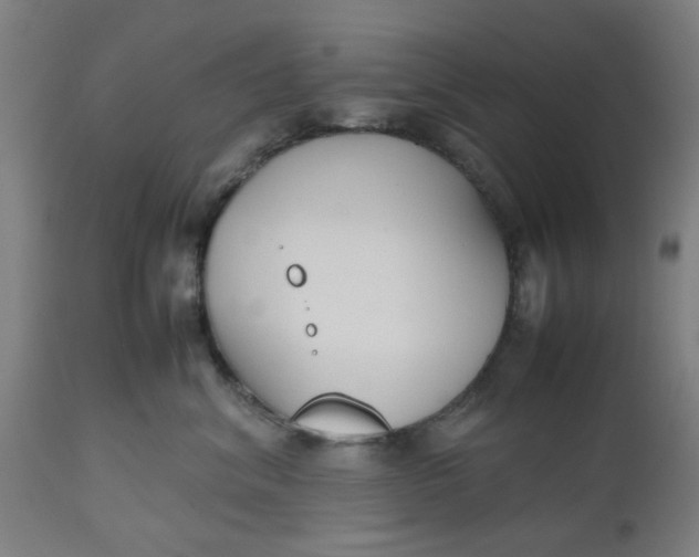 X0000112470620200909071135