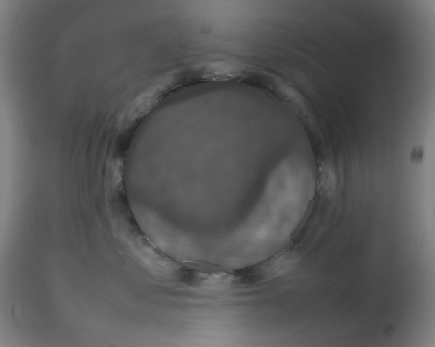 X0000112470621200909071135