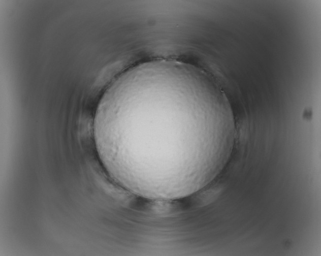 X0000112470623200909071135