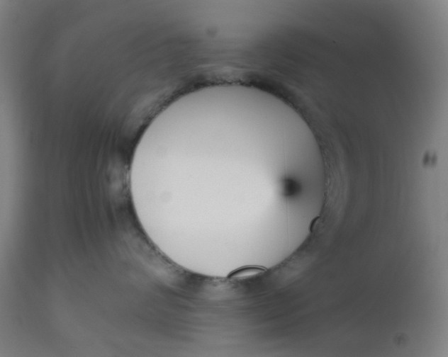 X0000112470624200909071135