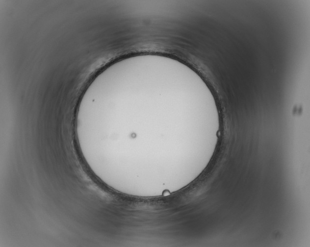 X0000112470625200909071134