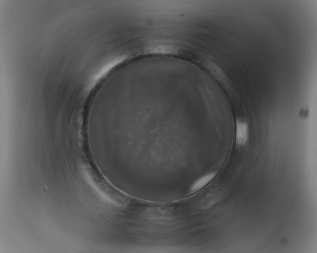 X0000112470627200909071134