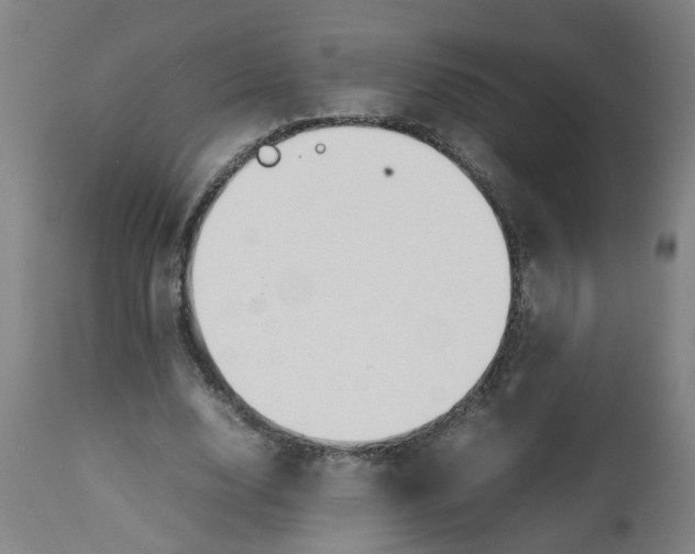 X0000112470632200909071134