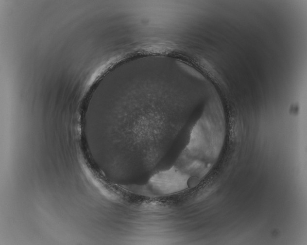 X0000112470634200909071134