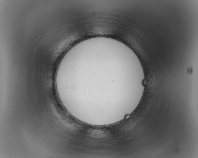 X0000112470635200909071134