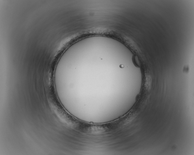 X0000112470636200909071134