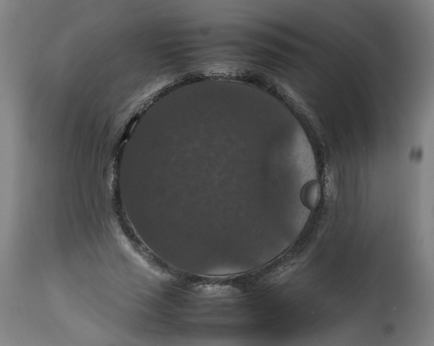 X0000112470637200909071134