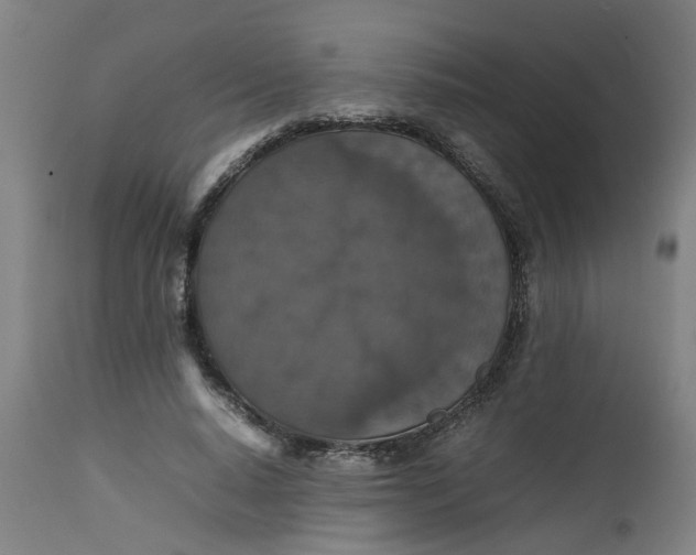 X0000112470640200909071134