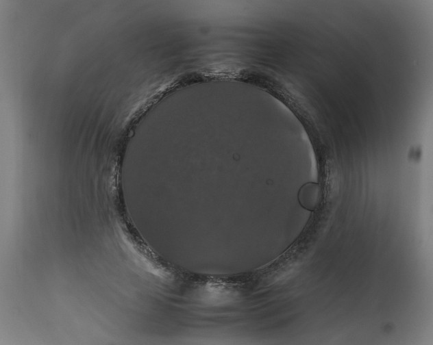 X0000112470641200909071134