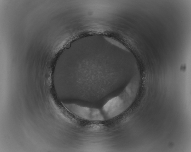 X0000112470642200909071134