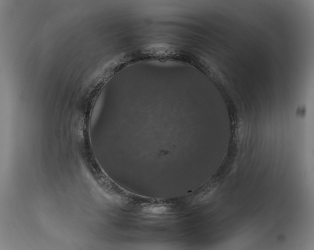 X0000112470643200909071134