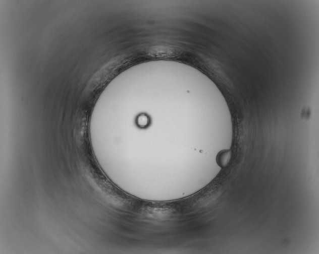 X0000112470645200909071134