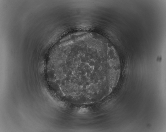 X0000112470647200909071134