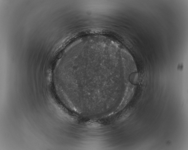 X0000112470648200909071134