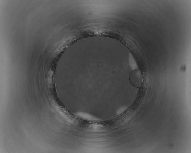 X0000112470650200909071134