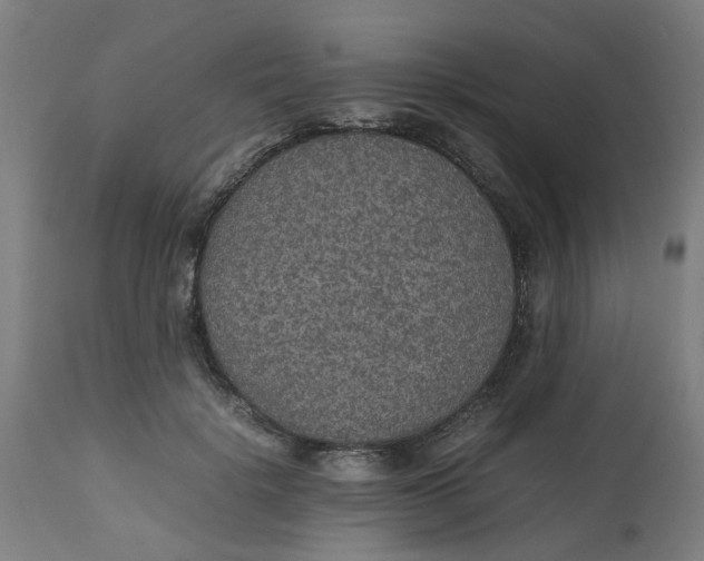 X0000112470652200909071134