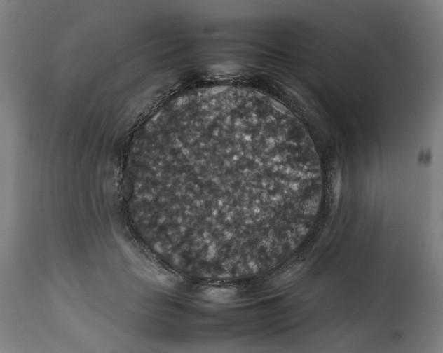 X0000112470653200909071134