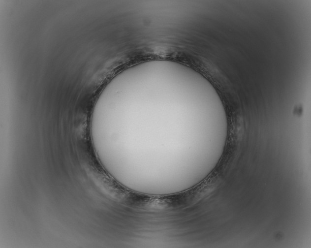 X0000112470656200909071134