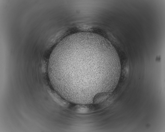 X0000112470658200909071134