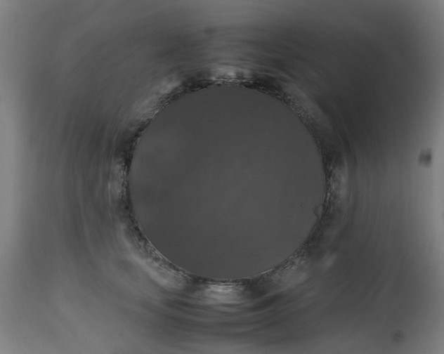 X0000112470659200909071134