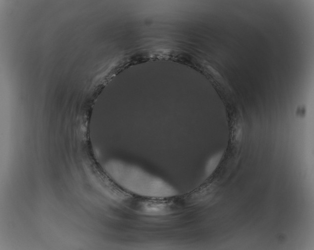 X0000112470661200909071134