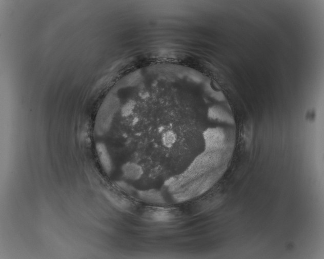 X0000112470663200909071134