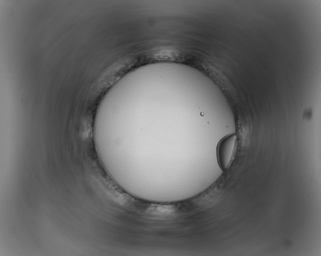 X0000112470665200909071134