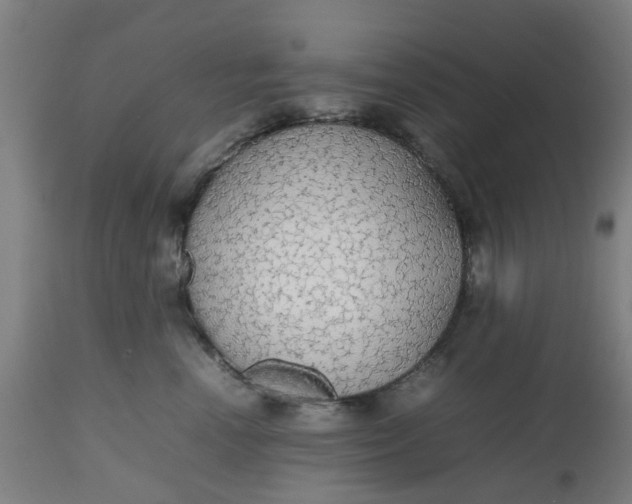 X0000112470666200909071134