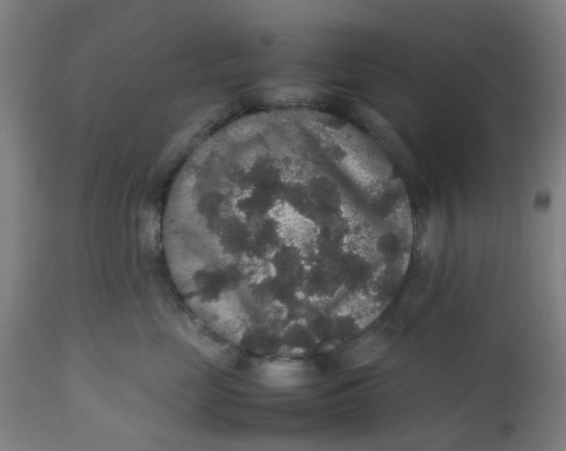 X0000112470669200909071135