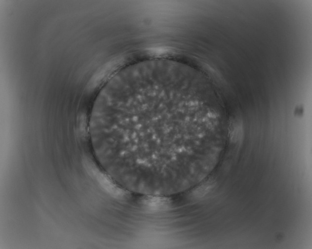 X0000112470670200909071135