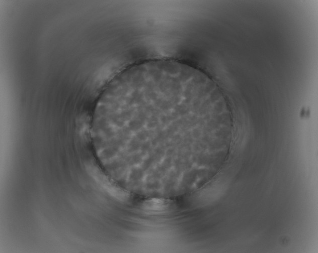 X0000112470672200909071135