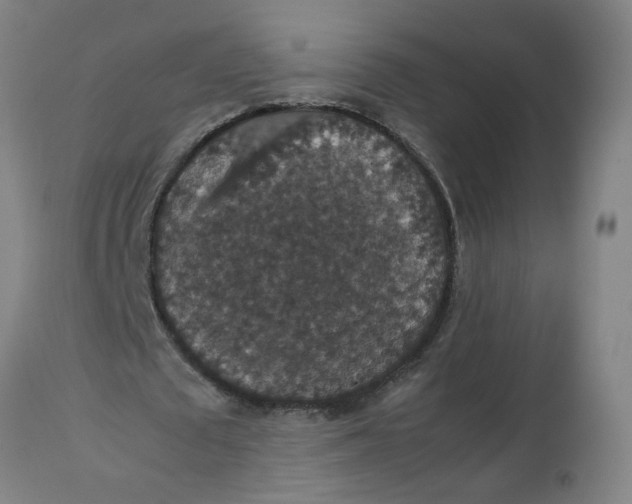 X0000112470673200909071134