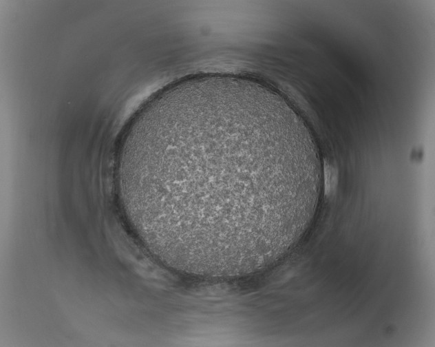 X0000112470675200909071134