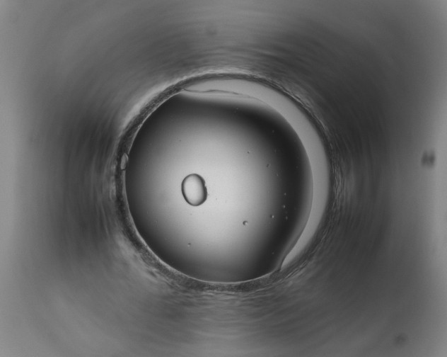 X0000112470676200909071134