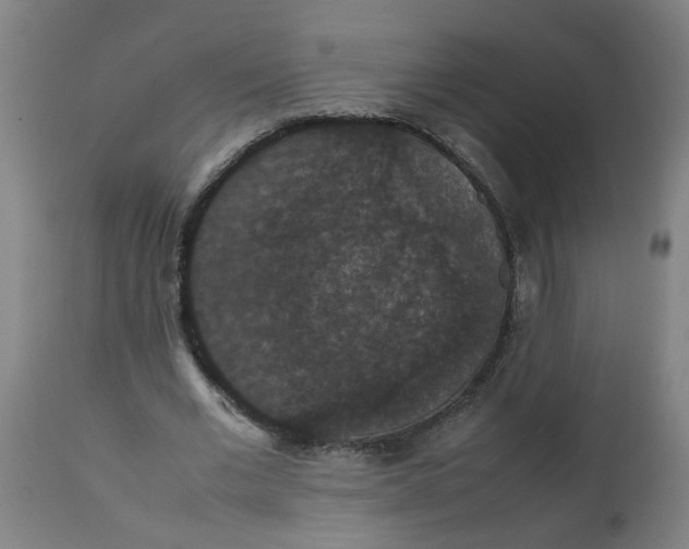 X0000112470677200909071134