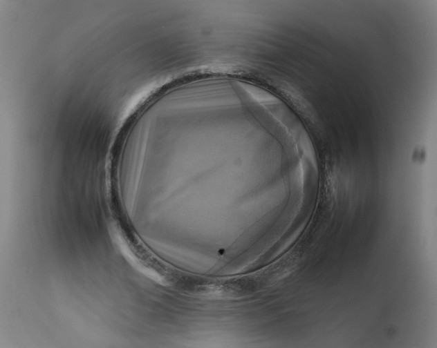 X0000112470678200909071134