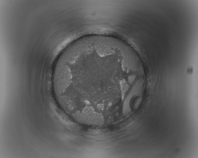 X0000112470679200909071134