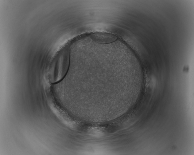 X0000112470680200909071134