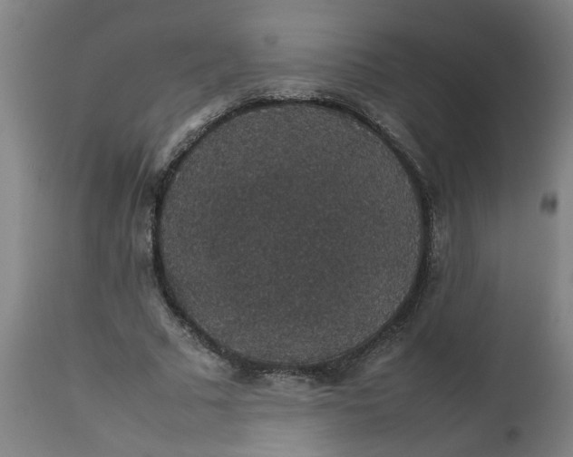 X0000112470681200909071134