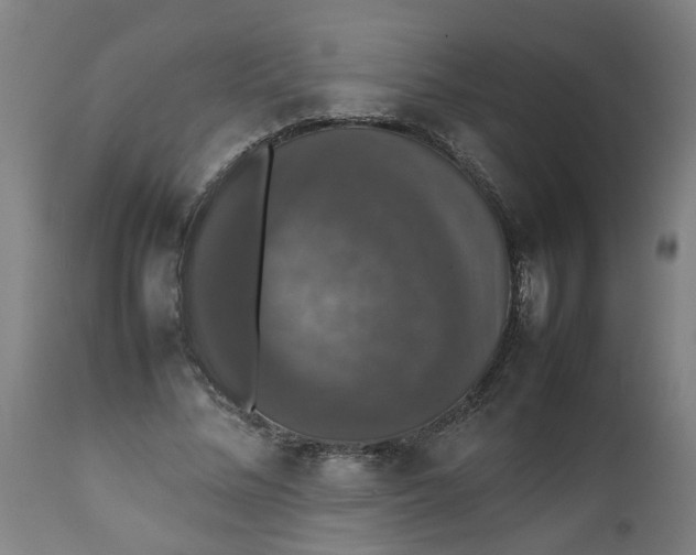 X0000112470684200909071134