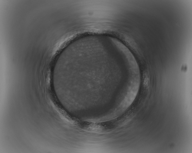 X0000112470685200909071134