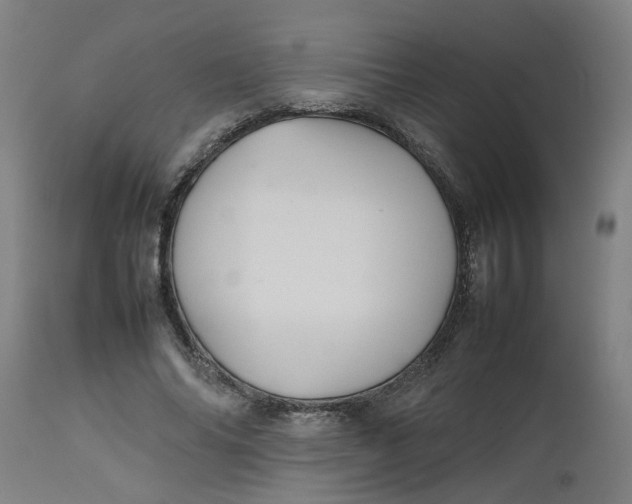 X0000112470686200909071134