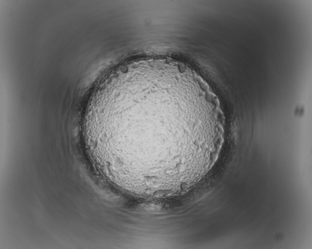 X0000112470687200909071134