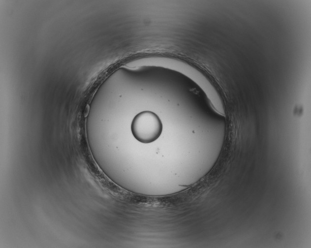 X0000112470688200909071134