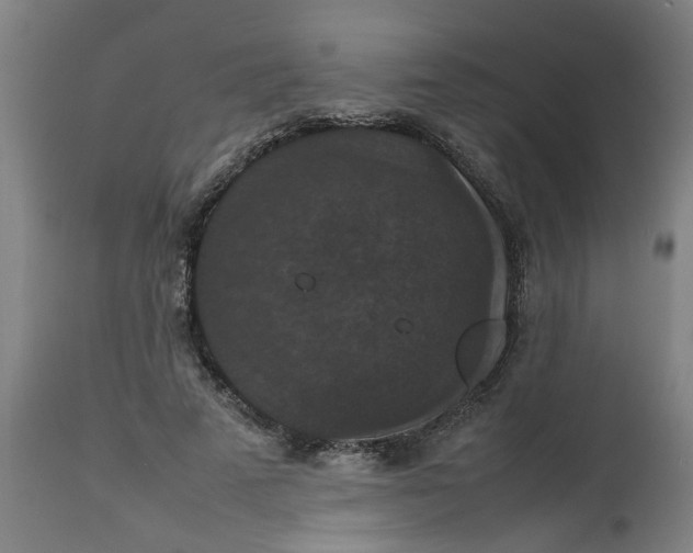 X0000112470689200909071133