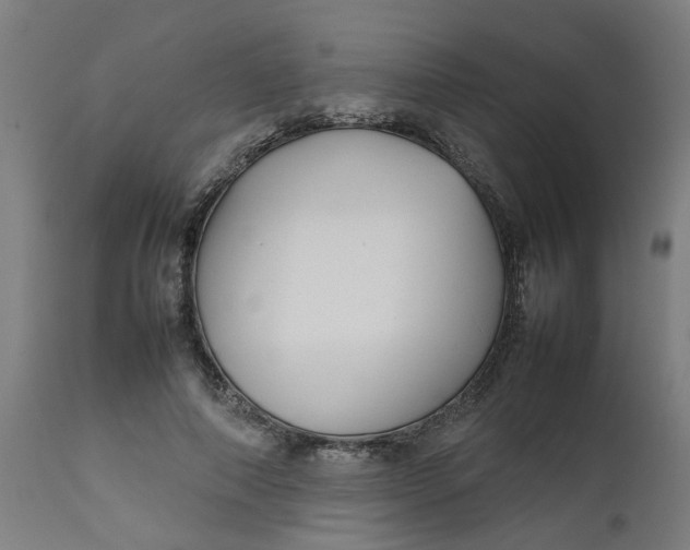 X0000112470690200909071133