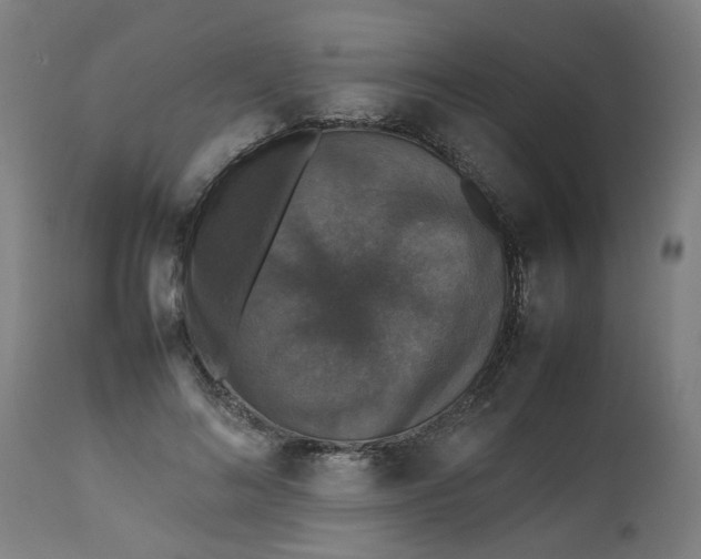 X0000112470692200909071133