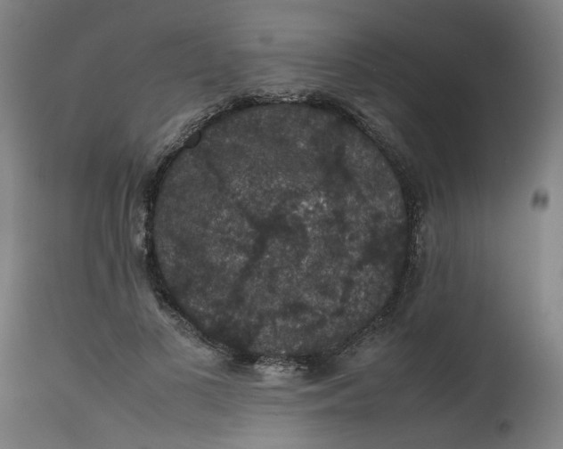 X0000112470693200909071133