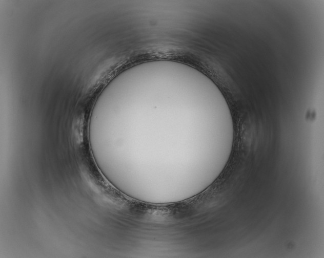 X0000112470694200909071133